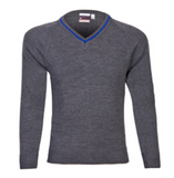 The Excelsior Academy Unisex V-Neck jumper